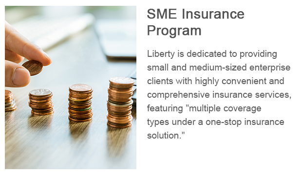 10-SME Insurance Program.png